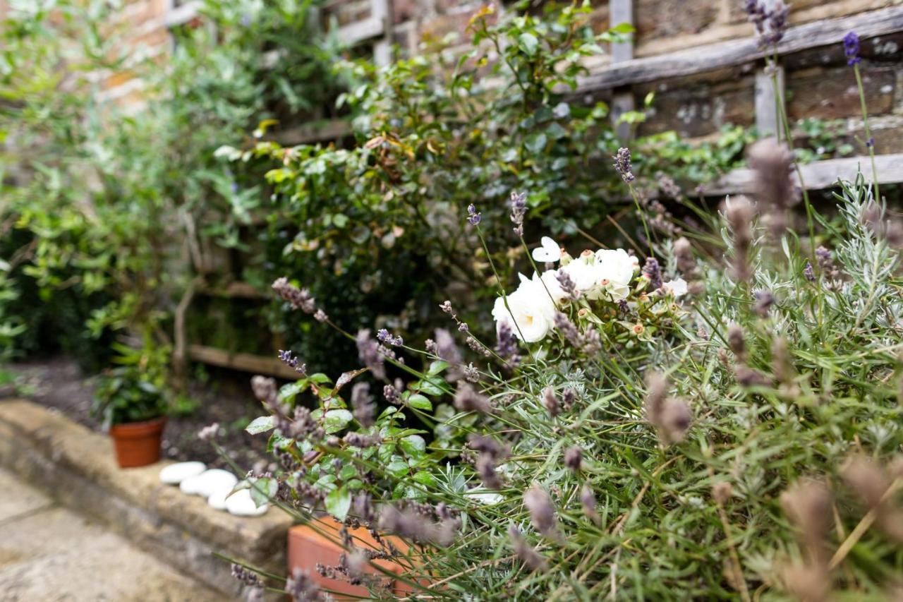 Meads Garden Cottage Close To Sea Eastbourne Exterior photo